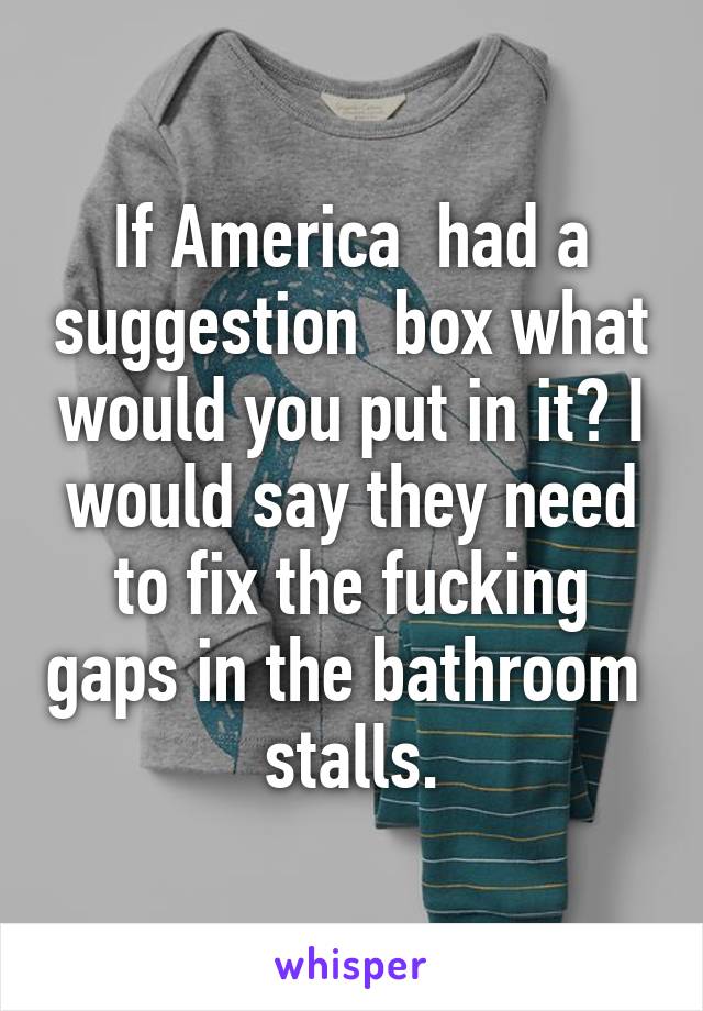 If America  had a suggestion  box what would you put in it? I would say they need to fix the fucking gaps in the bathroom  stalls.