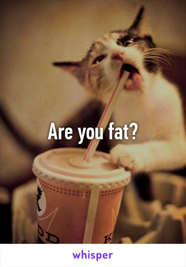 Are you fat?