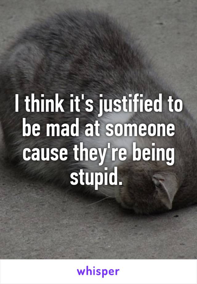 I think it's justified to be mad at someone cause they're being stupid. 