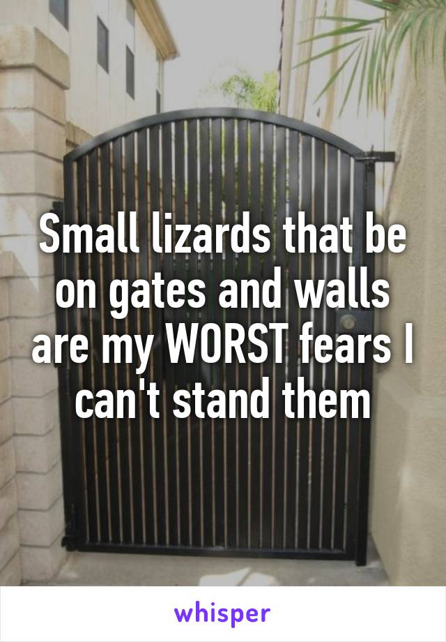 Small lizards that be on gates and walls are my WORST fears I can't stand them