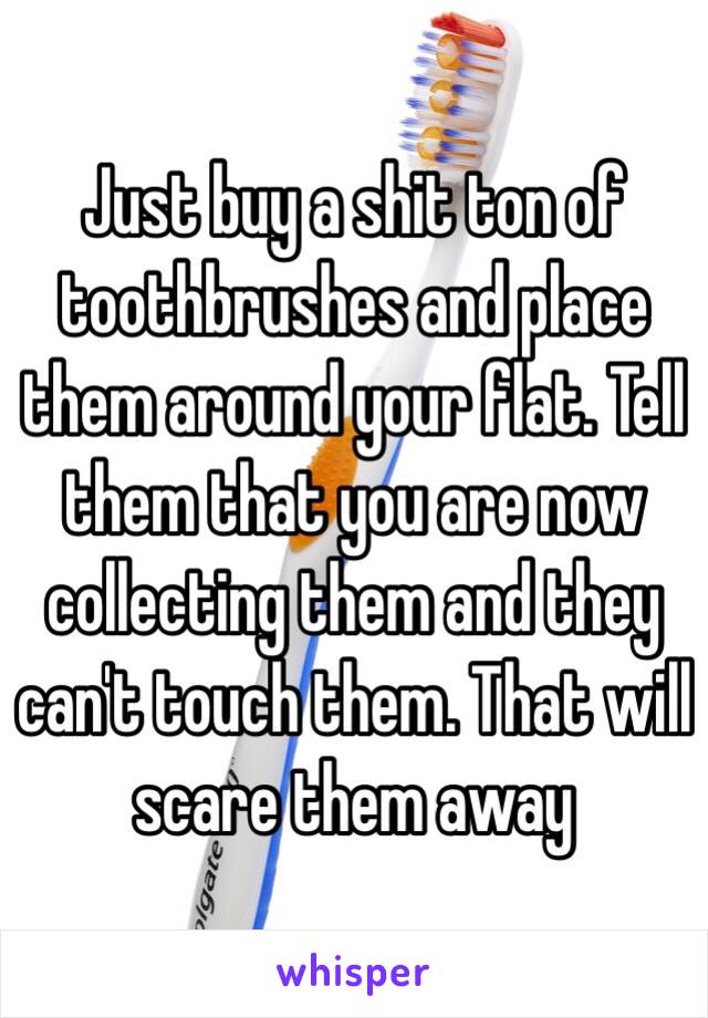 Just buy a shit ton of toothbrushes and place them around your flat. Tell them that you are now collecting them and they can't touch them. That will scare them away 