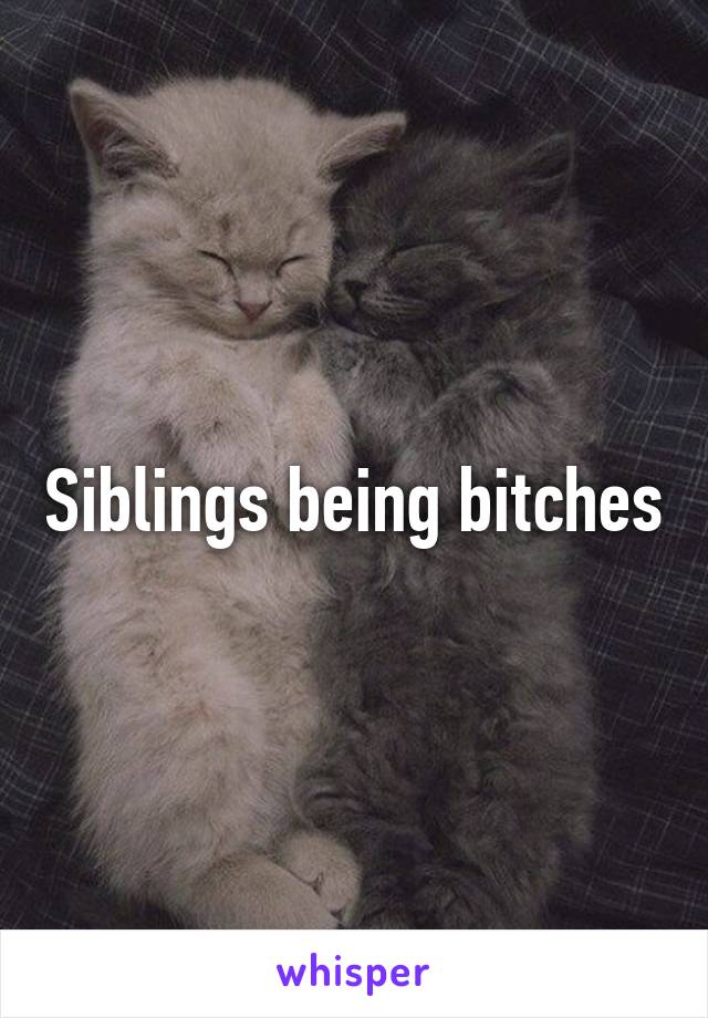 Siblings being bitches