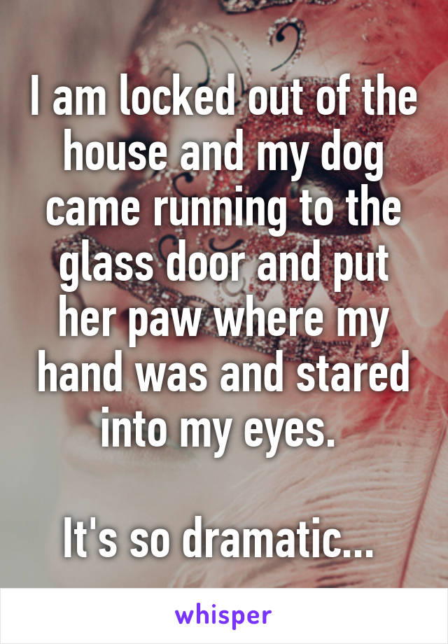 I am locked out of the house and my dog came running to the glass door and put her paw where my hand was and stared into my eyes. 

It's so dramatic... 