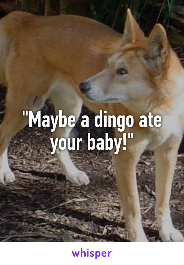 "Maybe a dingo ate your baby!"