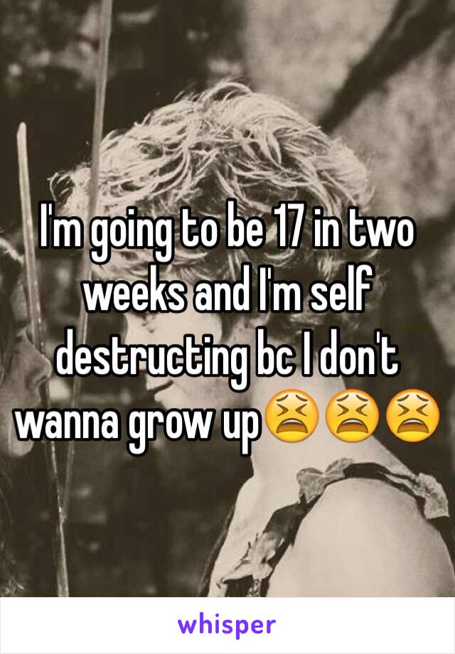 I'm going to be 17 in two weeks and I'm self destructing bc I don't wanna grow up😫😫😫