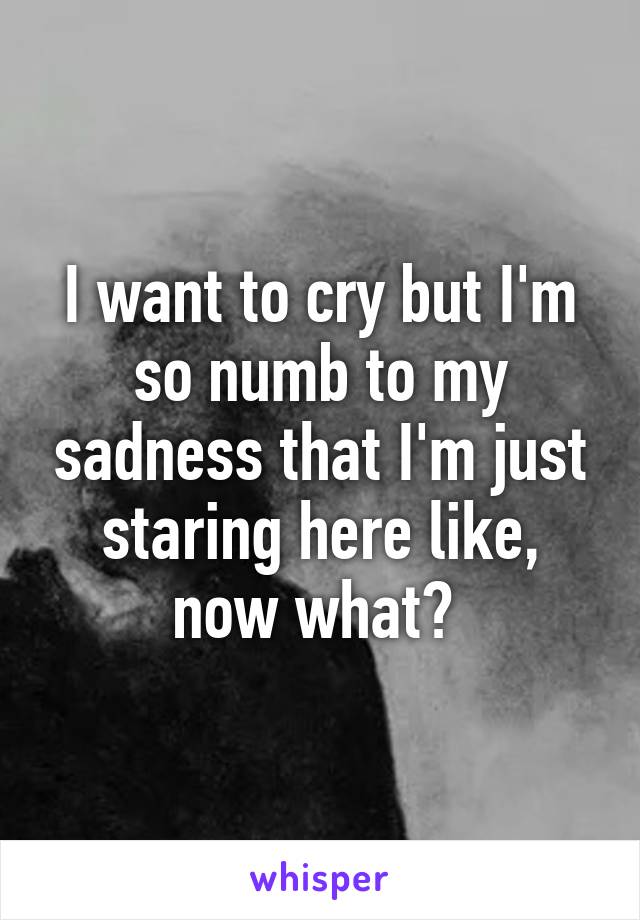 I want to cry but I'm so numb to my sadness that I'm just staring here like, now what? 