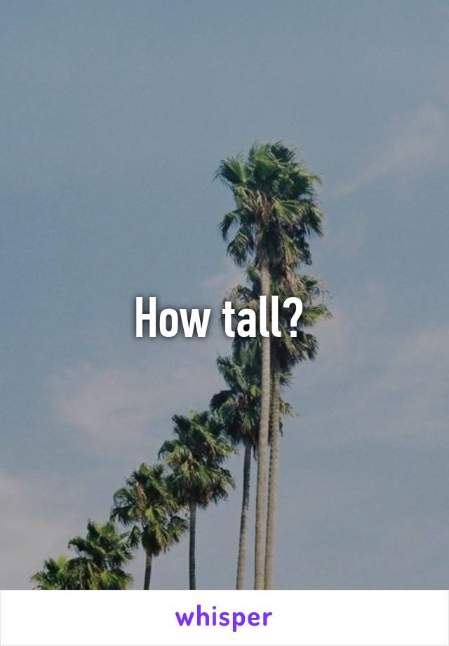 How tall? 