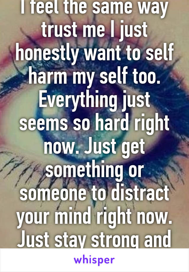 I feel the same way trust me I just honestly want to self harm my self too. Everything just seems so hard right now. Just get something or someone to distract your mind right now. Just stay strong and keep going on