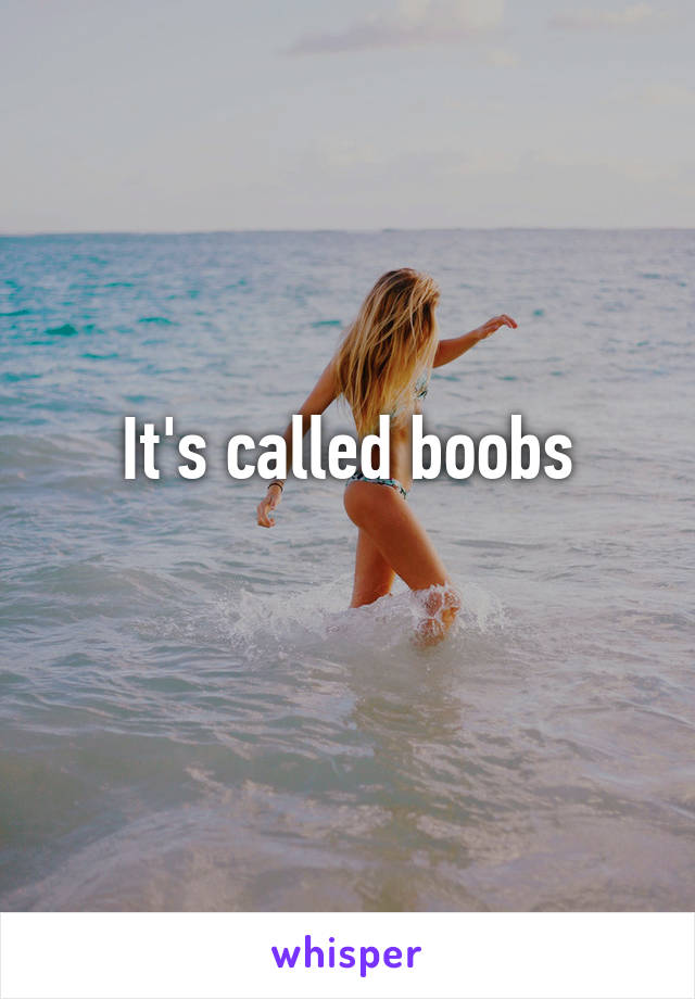 It's called boobs
