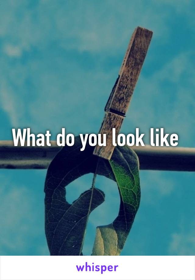 What do you look like 