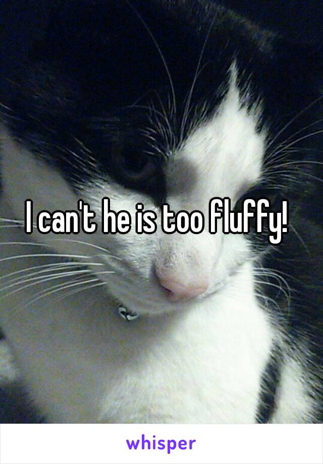 I can't he is too fluffy! 