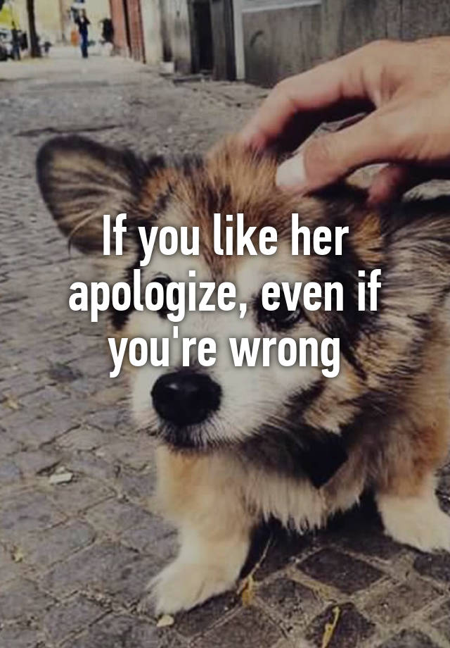 if-you-like-her-apologize-even-if-you-re-wrong