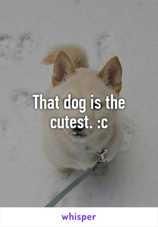 That dog is the cutest. :c