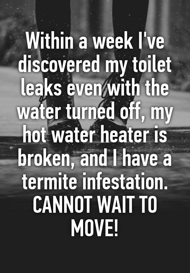 within-a-week-i-ve-discovered-my-toilet-leaks-even-with-the-water