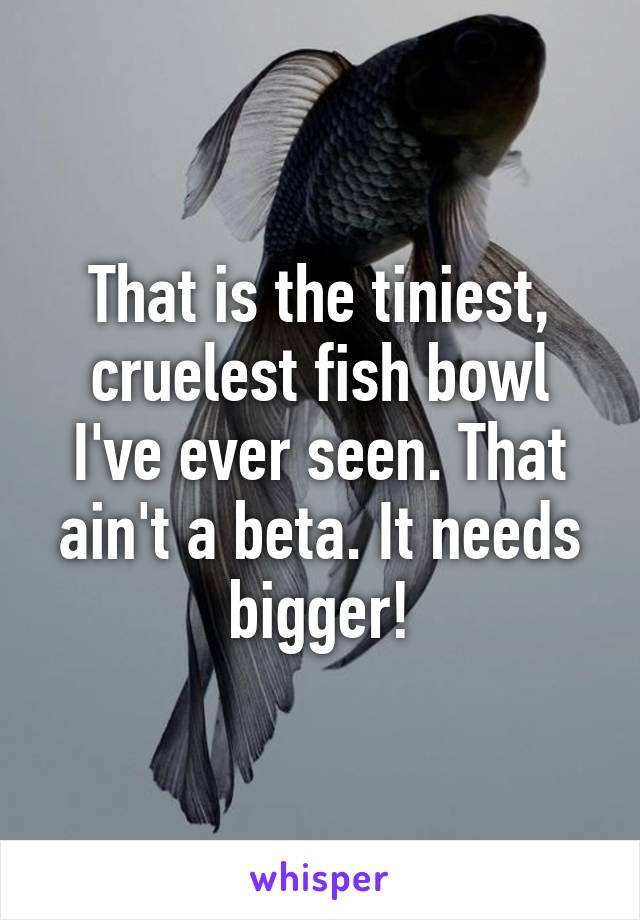 That is the tiniest, cruelest fish bowl I've ever seen. That ain't a beta. It needs bigger!