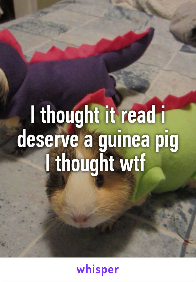 I thought it read i deserve a guinea pig
I thought wtf 