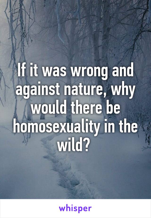 If it was wrong and against nature, why would there be homosexuality in the wild? 