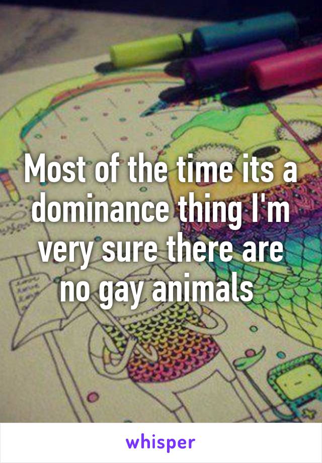 Most of the time its a dominance thing I'm very sure there are no gay animals 