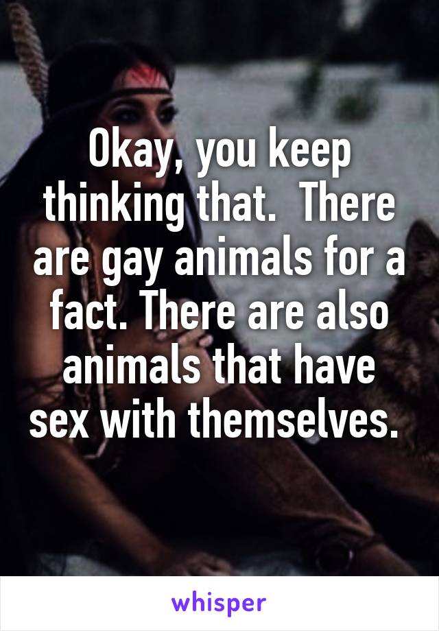 Okay, you keep thinking that.  There are gay animals for a fact. There are also animals that have sex with themselves.  