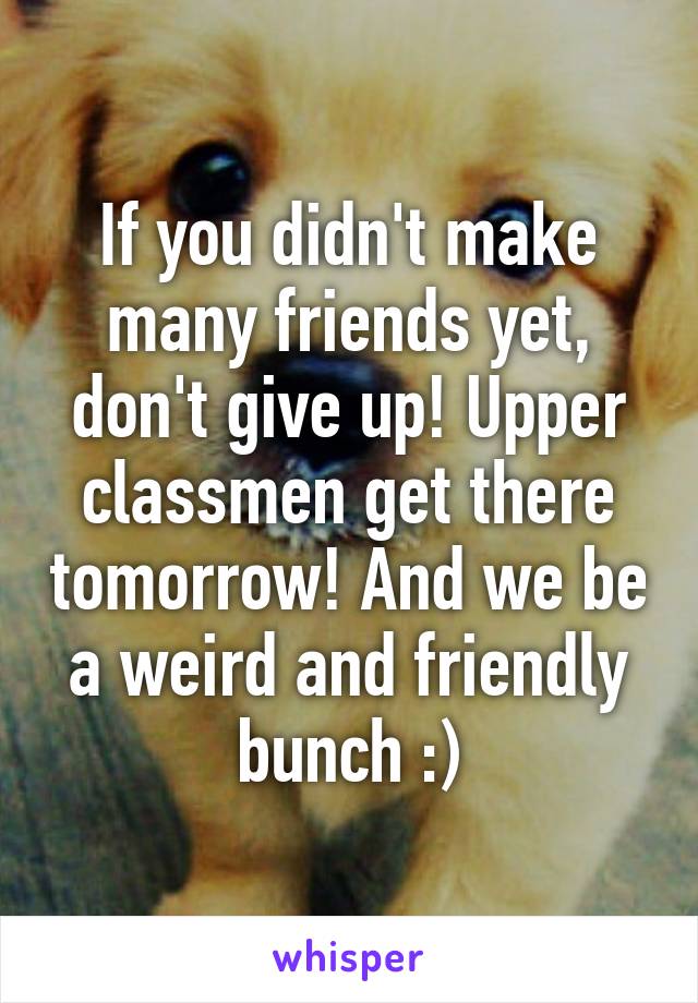 If you didn't make many friends yet, don't give up! Upper classmen get there tomorrow! And we be a weird and friendly bunch :)