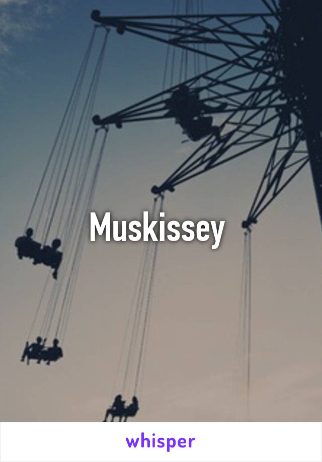 Muskissey 