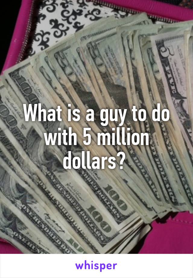 what-is-a-guy-to-do-with-5-million-dollars