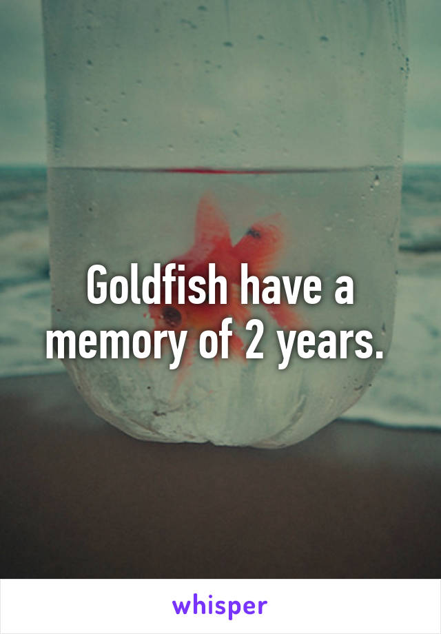 Goldfish have a memory of 2 years. 