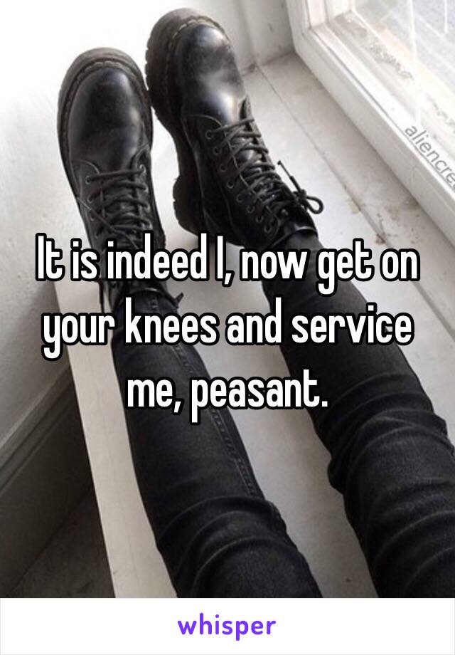 It is indeed I, now get on your knees and service me, peasant.