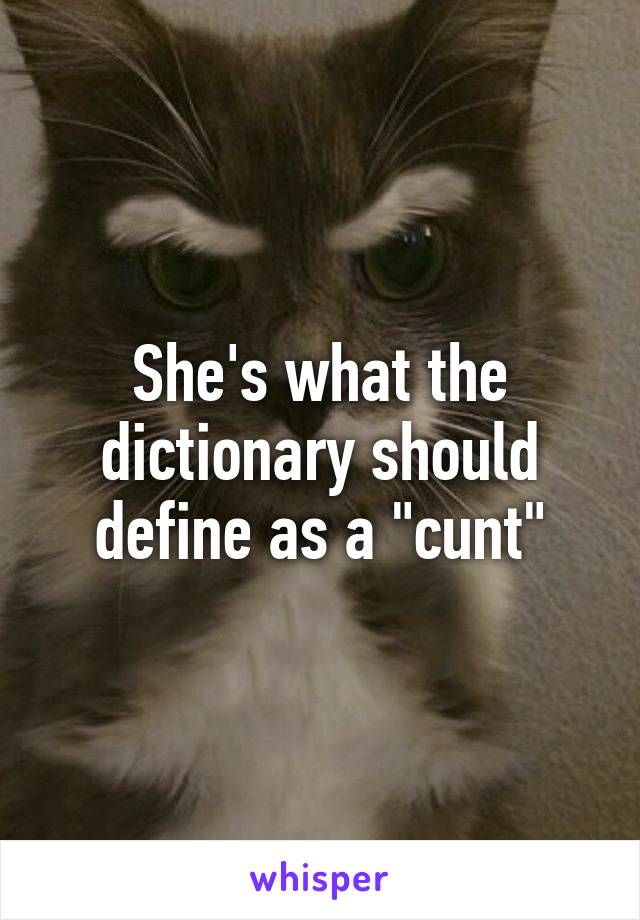 She's what the dictionary should define as a "cunt"