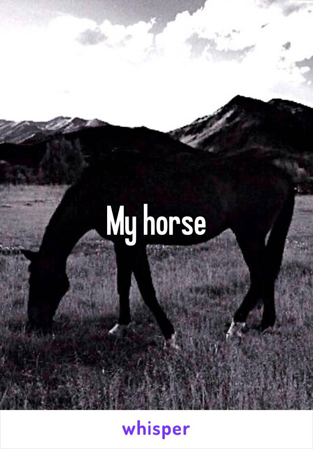 My horse