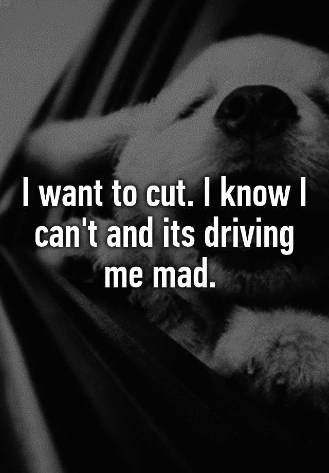 i-want-to-cut-i-know-i-can-t-and-its-driving-me-mad