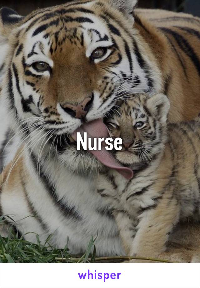 Nurse