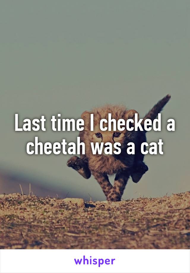 Last time I checked a cheetah was a cat