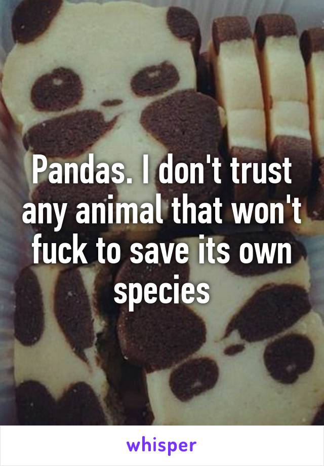Pandas. I don't trust any animal that won't fuck to save its own species