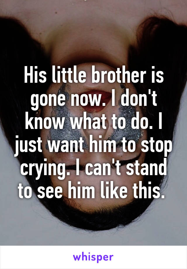 His little brother is gone now. I don't know what to do. I just want him to stop crying. I can't stand to see him like this. 