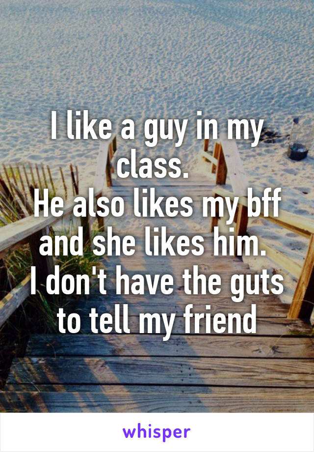 I like a guy in my class. 
He also likes my bff and she likes him. 
I don't have the guts to tell my friend