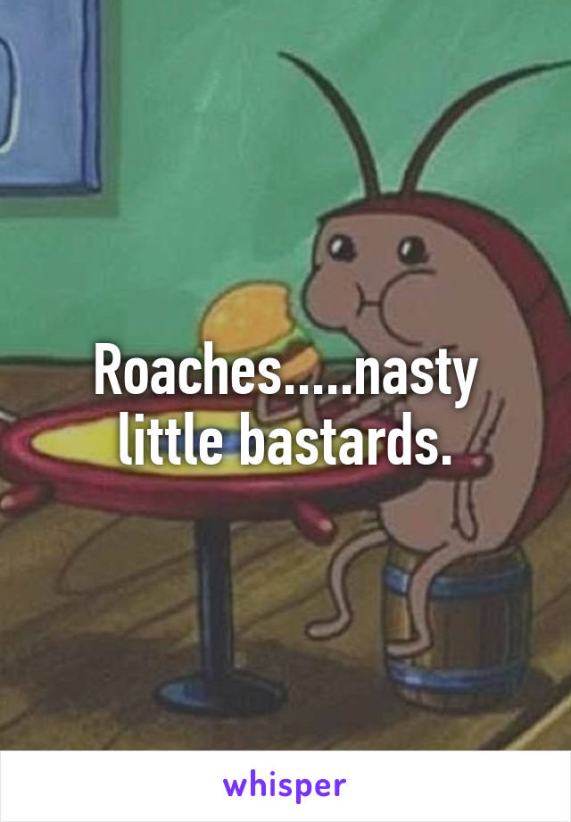 Roaches.....nasty little bastards.