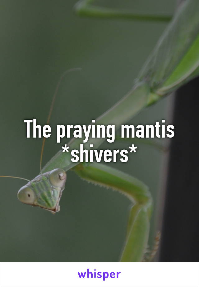 The praying mantis *shivers*