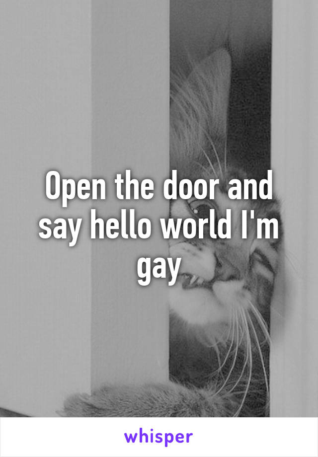 Open the door and say hello world I'm gay