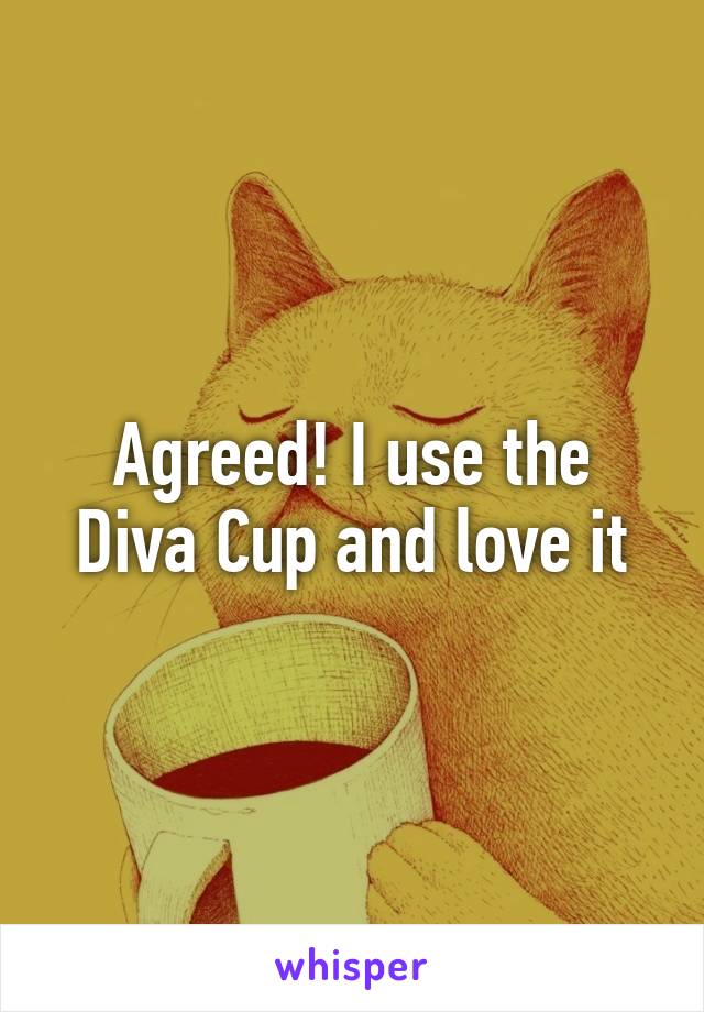 Agreed! I use the Diva Cup and love it