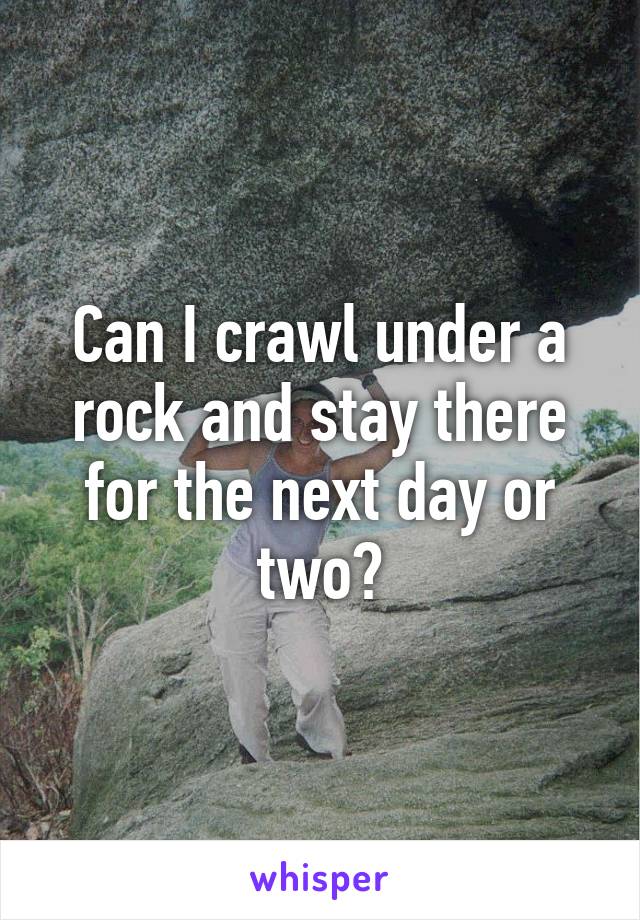 Can I crawl under a rock and stay there for the next day or two?