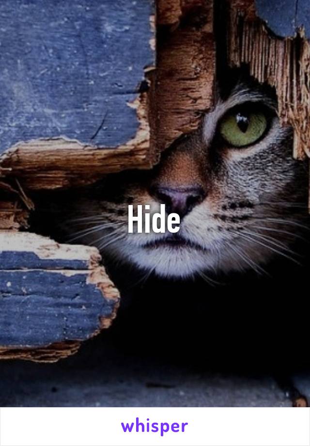 Hide