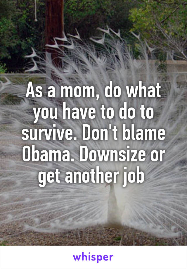 As a mom, do what you have to do to survive. Don't blame Obama. Downsize or get another job 