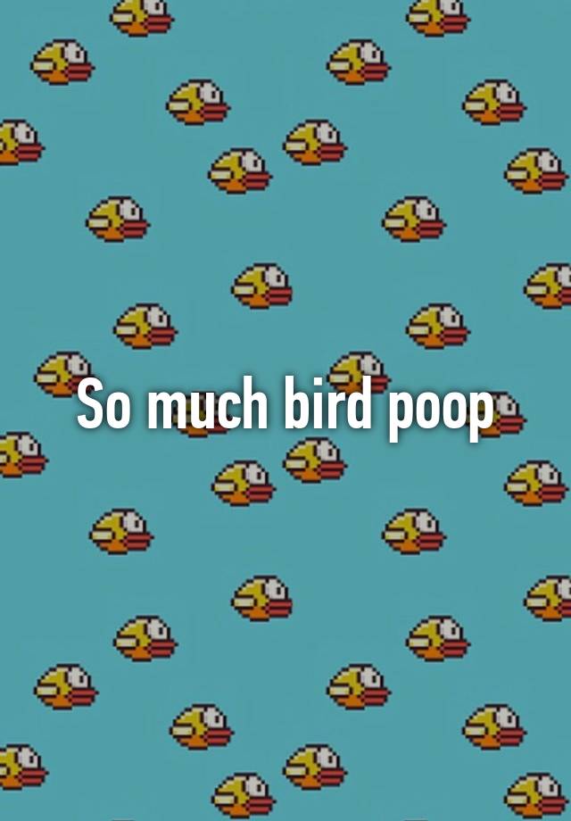 so-much-bird-poop