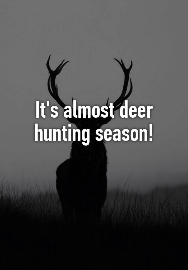 It's almost deer hunting season!