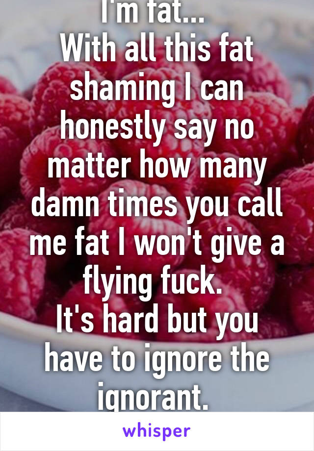 I'm fat... 
With all this fat shaming I can honestly say no matter how many damn times you call me fat I won't give a flying fuck. 
It's hard but you have to ignore the ignorant. 
