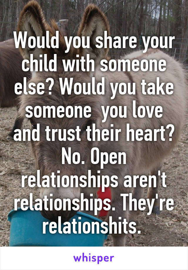 Would you share your child with someone else? Would you take someone  you love and trust their heart? No. Open relationships aren't relationships. They're relationshits. 