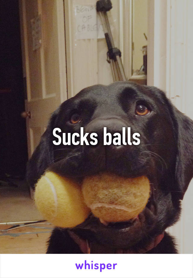 Sucks balls