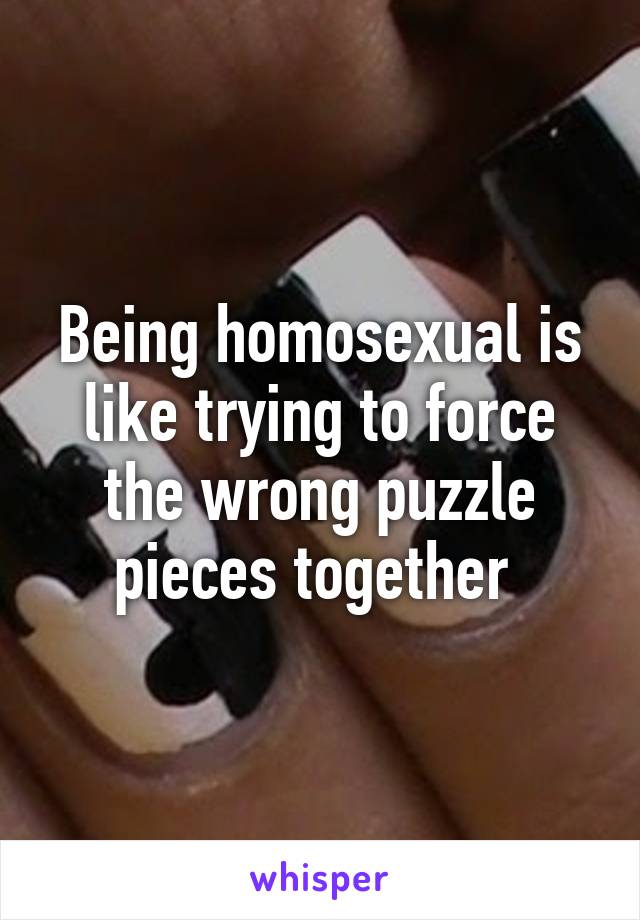 Being homosexual is like trying to force the wrong puzzle pieces together 