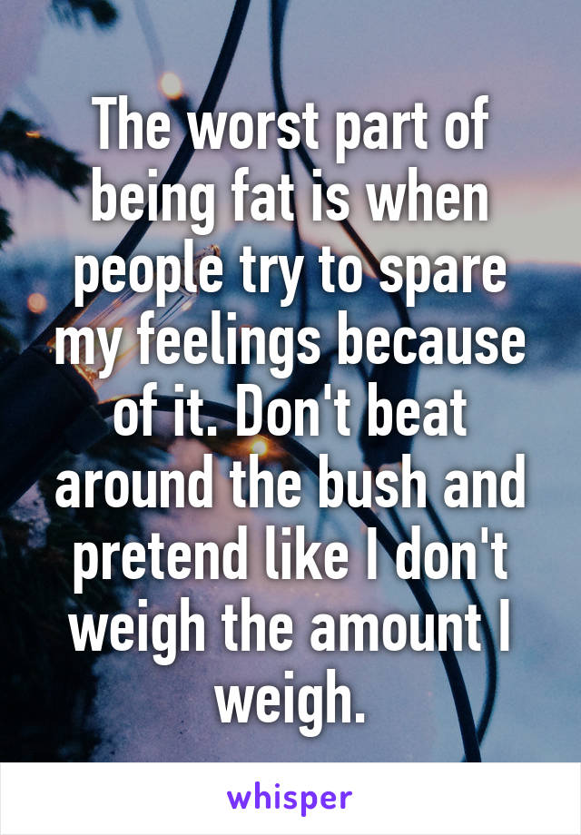 The worst part of being fat is when people try to spare my feelings because of it. Don't beat around the bush and pretend like I don't weigh the amount I weigh.
